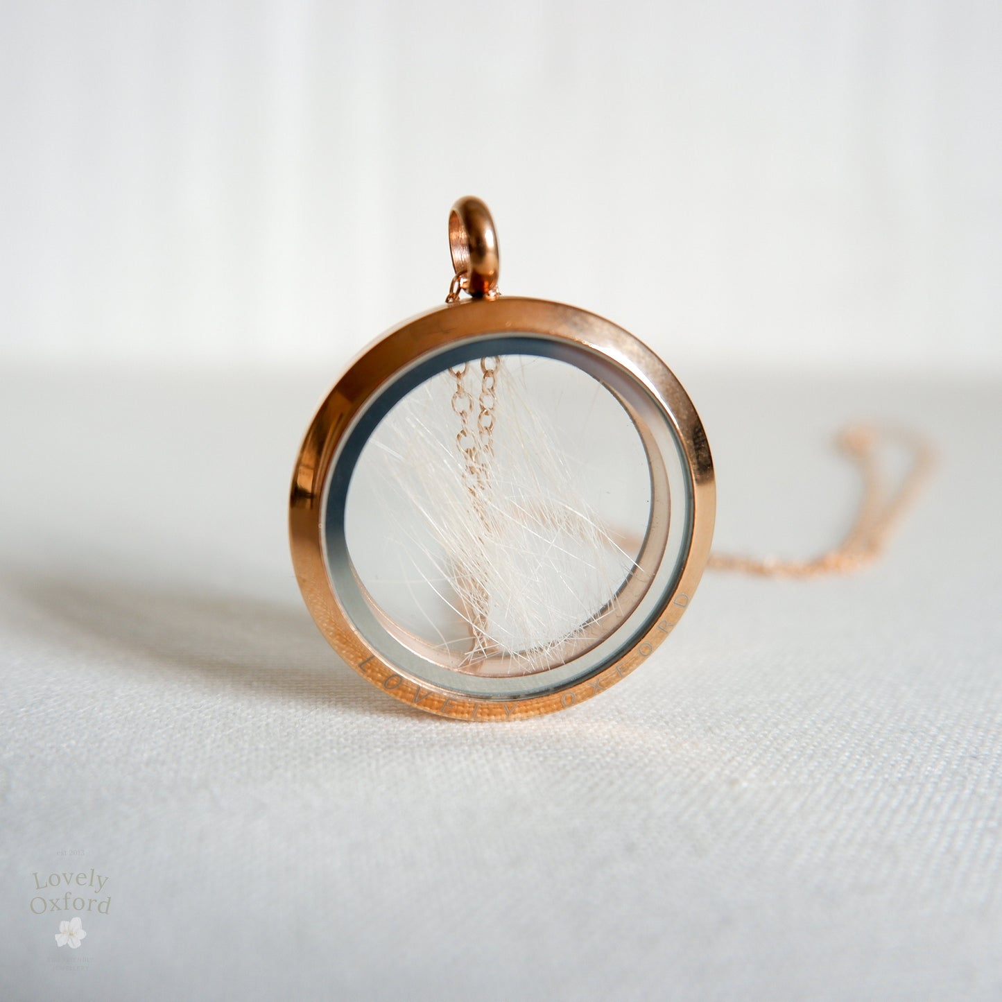 Pet Loss Memorial Locket with Dog Hair – A custom memorial locket holding a lock of dog hair inside, elegantly suspended on a necklace.