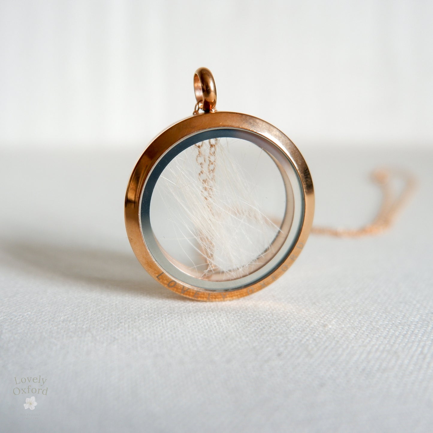 Close-up of Pet Fur Memorial Locket with Paw Print Design – A detailed view of a glass locket containing pet fur, featuring a paw print pendant, customised as a keepsake.
