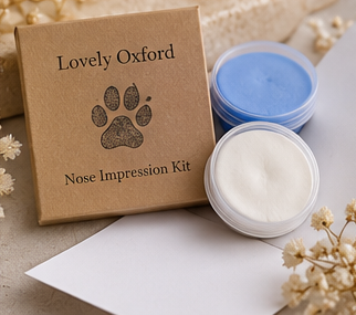Personalised Pet Nose Print Heart Necklace – Fine Silver or Gold Vermeil
