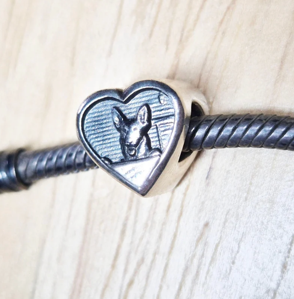 Personalised Pet Portrait Bracelet Bead – Ashes, Hair & Fur Memorial Keepsake