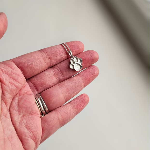 Silver 925 Dog Paw Print Memorial Pendant — Pet Ashes & Fur Resin Keepsake