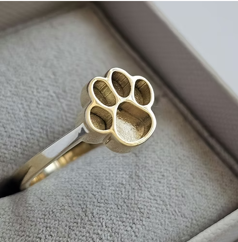 9ct yellow gold paw print ring in jewellery box, front view showing large oval pad and four round toe pads outlined in polished gold